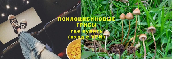 трава Заволжье