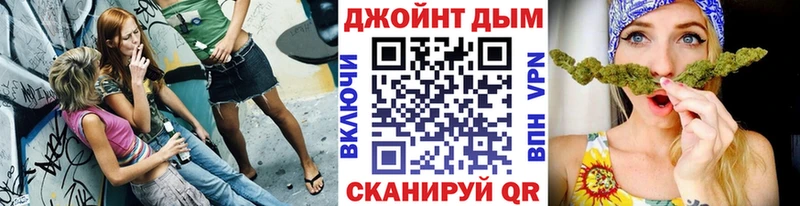 Купить закладки  Новоржев  Бошки Шишки LSD WEED 